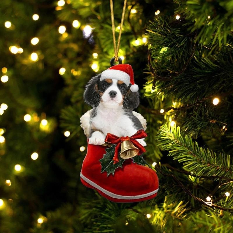 Cavalier King Charles Spaniel Tri-color In Santa Boot