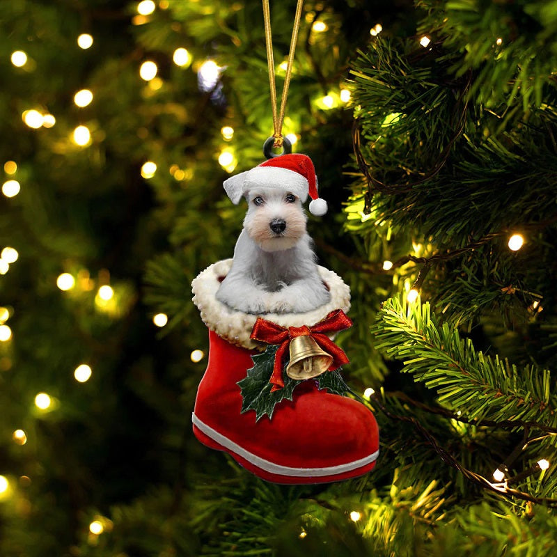 Miniature Schnauzer Color White In Santa Boot Christmas