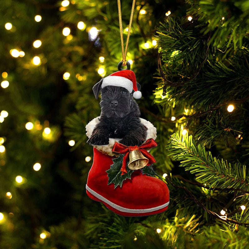 Miniature Schnauzer Color Back In Santa Boot Christmas