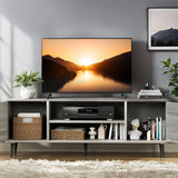 Modern TV Stand Entertainment Center with Two Storage