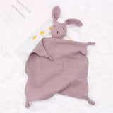 Name Personalized Muslin Cotton Soother Towel Bib Baby