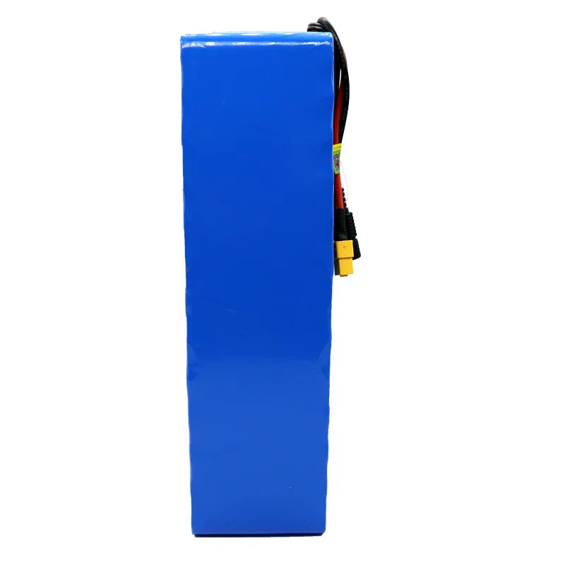 New 48V 100000mAh 1000w 13S3P XT60 48V Lithium