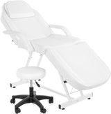 OmySalon Massage Salon Tattoo Chair Esthetician Bed