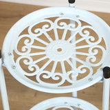 Plant Stand Indoor Outdoor, 2 Tiers Metal Potted