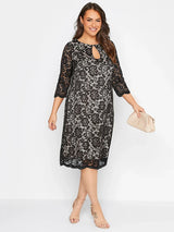 Plus Size Spring Autumn Elegant Lace Dress Women