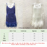 Plus Size Women Sequins Tassel Feather Dress 2023