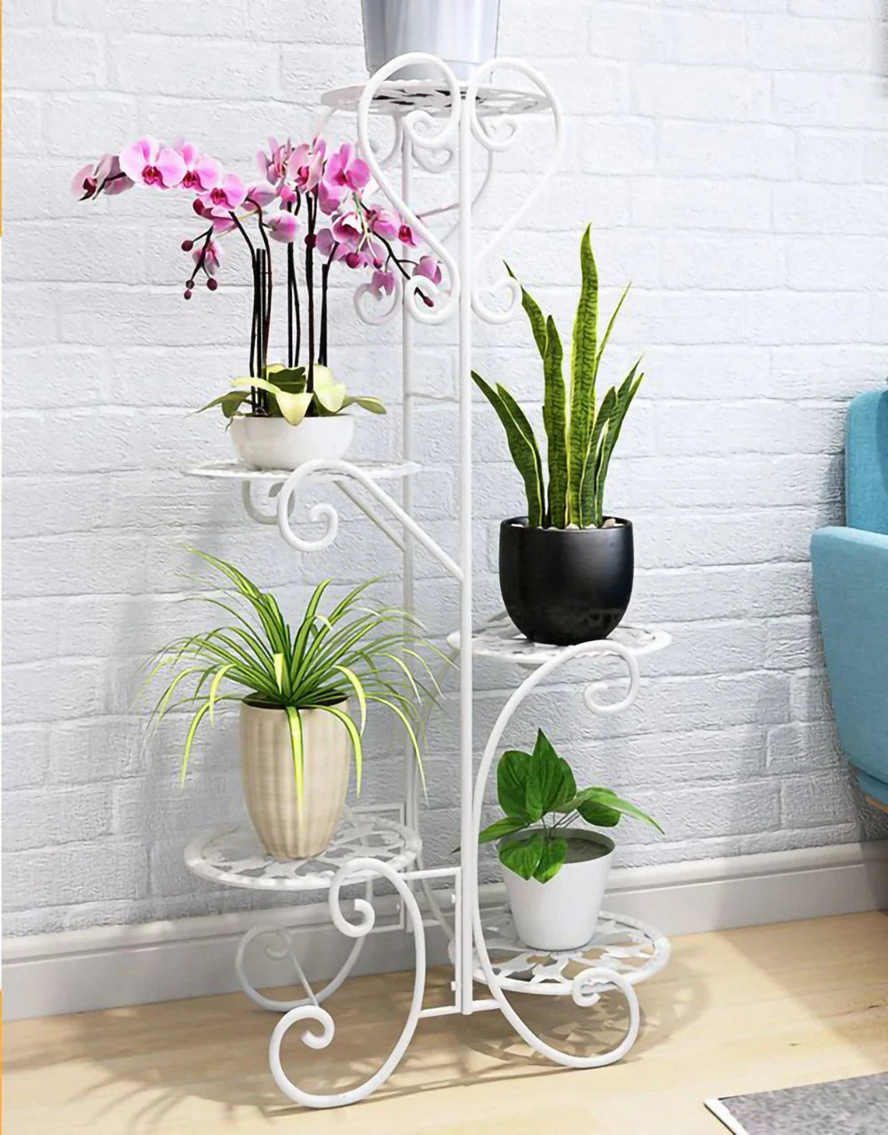 5 Potted Rounded Flower Metal Shelves Plant Pot