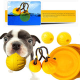 Interactive Dog Toys Rope Ball Toy For Play