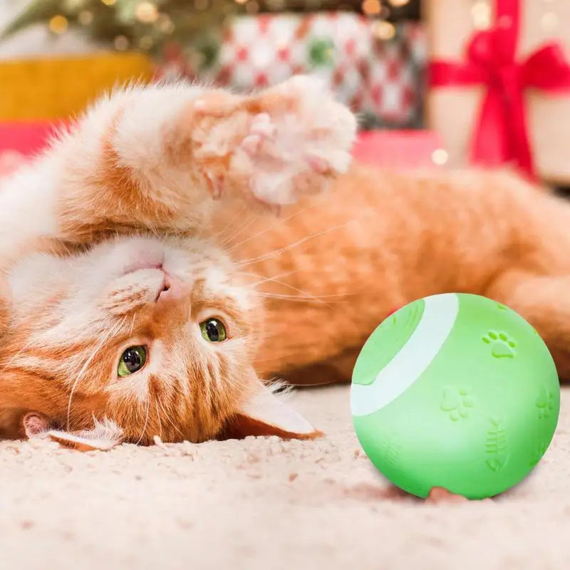 Electric Cat Ball Toy Training Self Moving toy