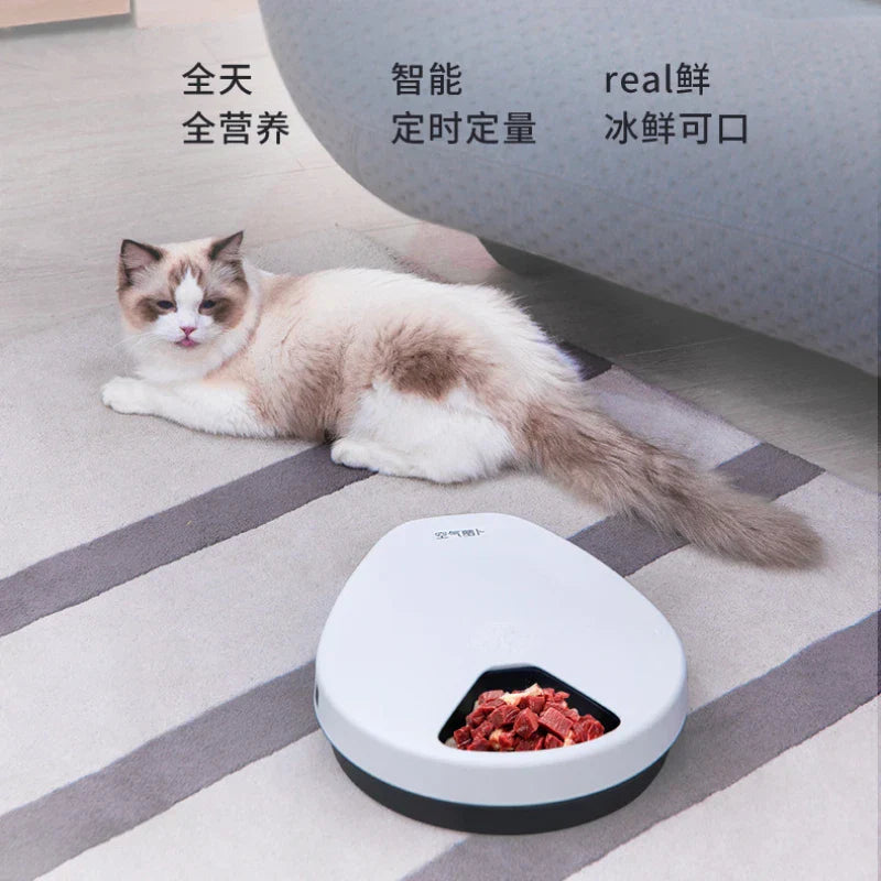 Air Radish Fresh Food Wet Food Refrigerator Automatic