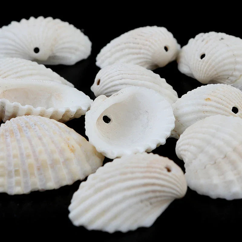 50pcsLot White Sea Shell Beads for Jewelry Making