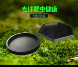 Reptile Bowls Terrarium Feeding Worm Dish Reptile Mealworm