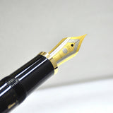 Wingsung 629 Piston Filling Classics Fountain Pen Best
