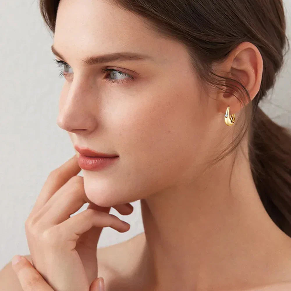 Sweetrain 2.5mm Moissanite Hoop Earrings For Women 925
