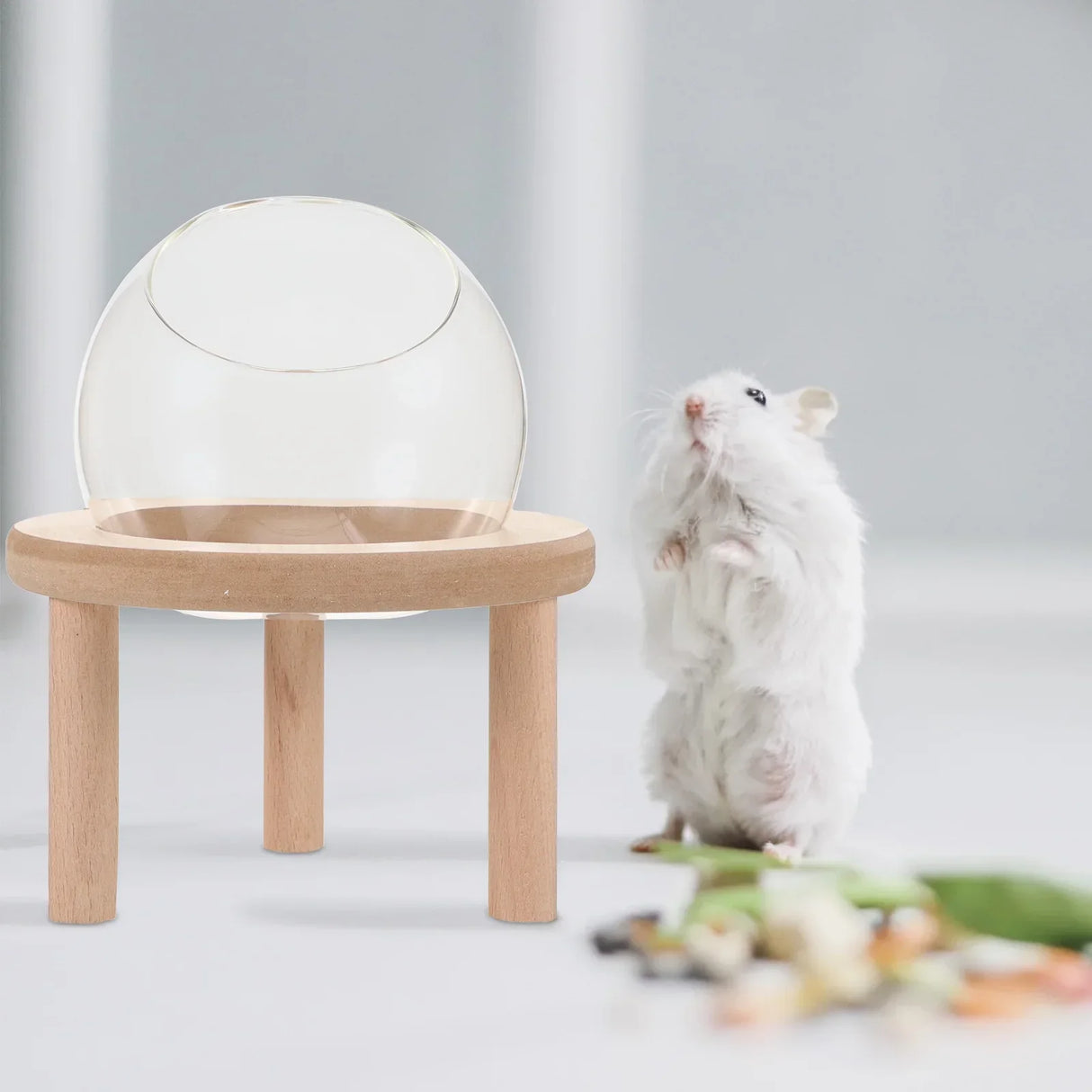 Hamster Sand Bath Container Potty Bathing Accessories Household