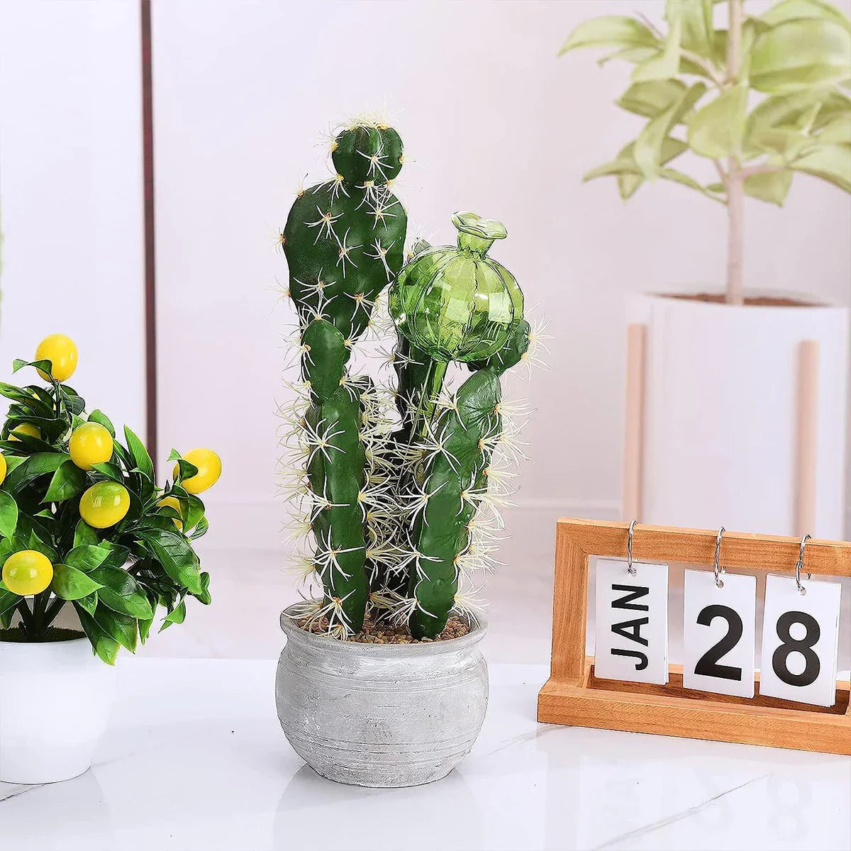 3/6Pcs Plant Self Watering Globes Automatic Plant Water