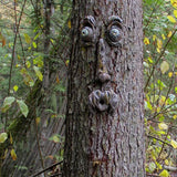 Bark Ghost Face Facial Features Old Man Tree