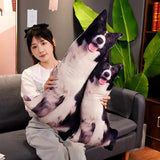 3D Simulation Dog Shiba Inu Bulldog Labrador Corgi
