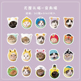 40 Pcs Cute Cat Stickers Kawaii Vinyl Decals for Scrapbooking