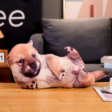 3D Simulation Dog Shiba Inu Bulldog Labrador Corgi