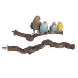 Pet Parrot Bird Standing Stick Grape Wood Pole