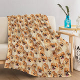 Pomeranian Throw Blanket Fuzzy Dog Blanket for Kids