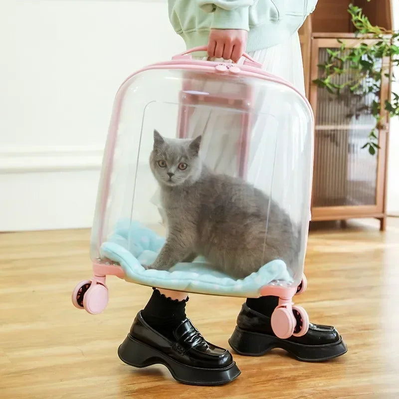 Clear pet backpack, cat carrier bag, portable capsule,