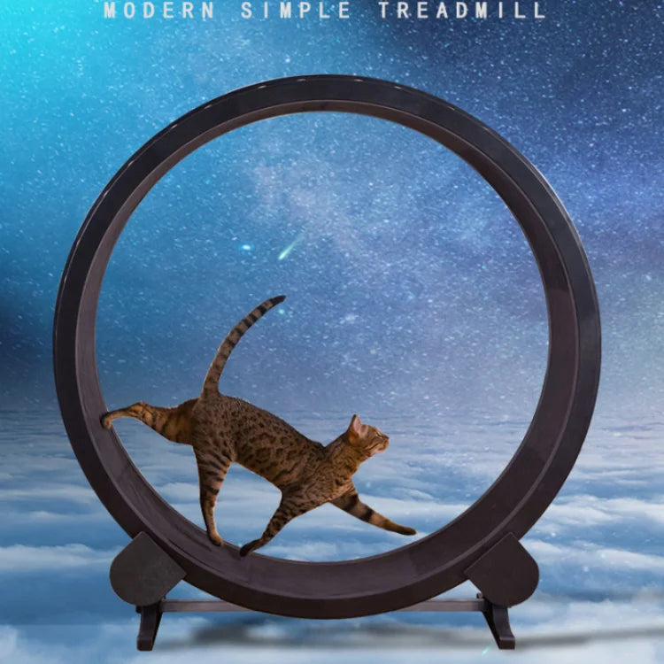 Pet Toys Exercise Wheel Cat Running Exercise Wheel