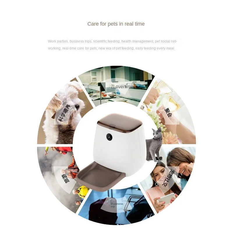 Intelligent Automatic Pet Feeder, Cat Timing Feeder, App