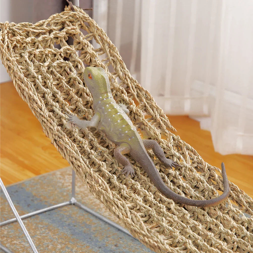 2 Pcs Climbing Pet Hammock Lizards Toys Seagrass