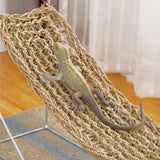 2 Pcs Climbing Pet Hammock Lizards Toys Seagrass