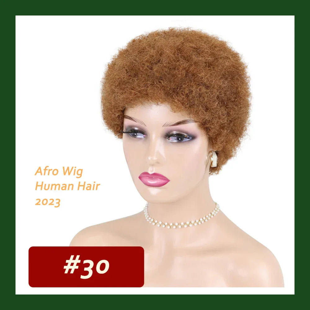 Kinky Curly Wigs Short Wigs for Black Women