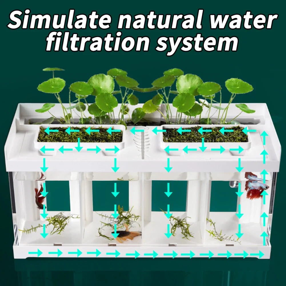 Mini Aquarium With Filter LED Light Fish Tank