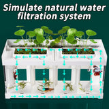 Mini Aquarium With Filter LED Light Fish Tank