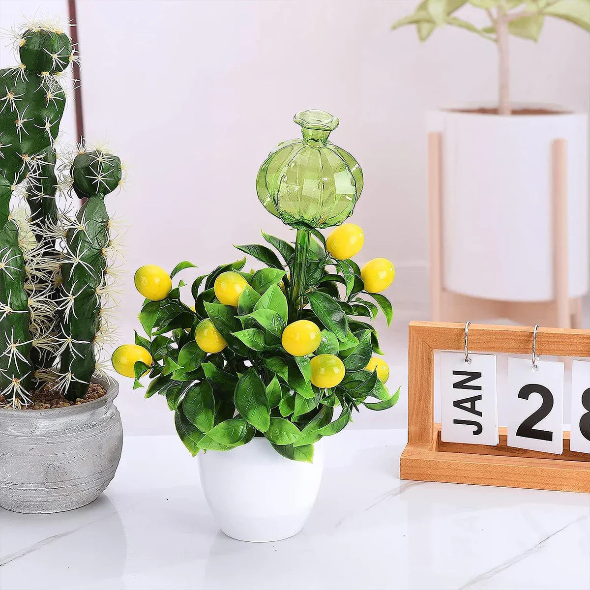 3/6Pcs Plant Self Watering Globes Automatic Plant Water