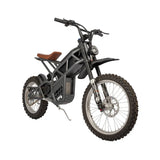 EMC02 Wholesale Electric Vintage Bicycle Factory Direct Sell