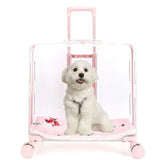 Stroller Kitten Cat Carriers Crate Backpack Transporter Cat