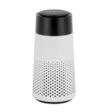 Negative Ion Air Purifier HEPA Filter Small Removal