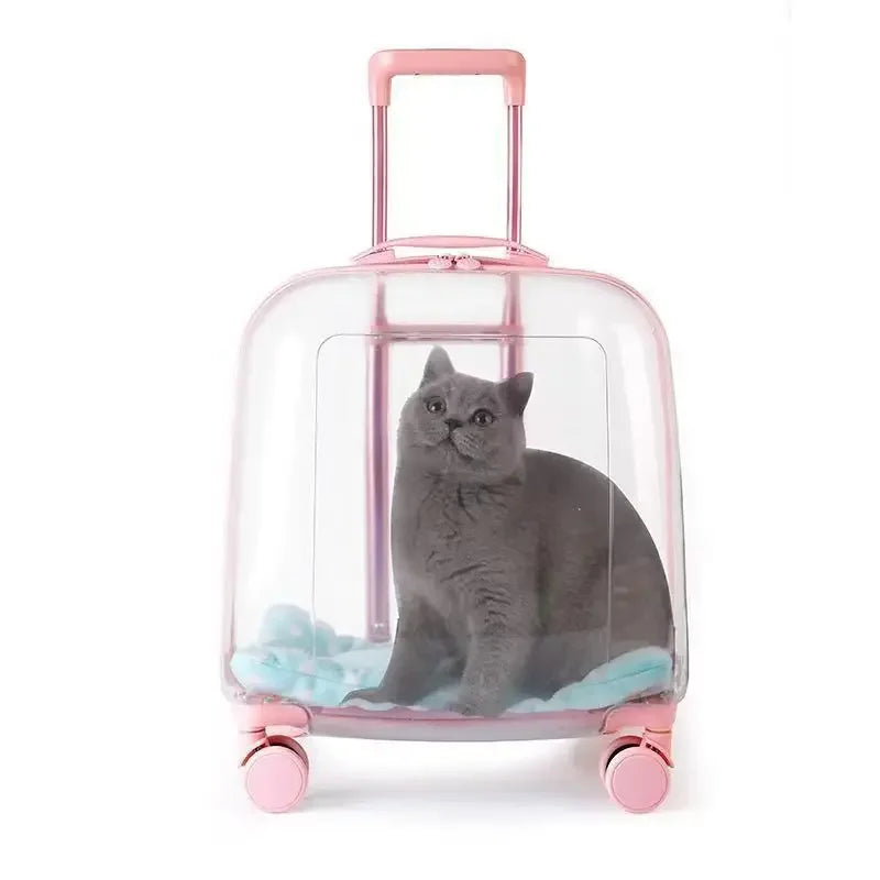 1PCS Clear pet backpack, cat carrier bag, portable