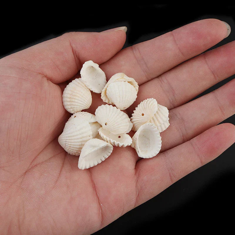 50pcsLot White Sea Shell Beads for Jewelry Making