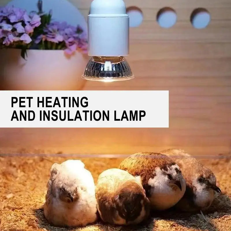 Reptile Heat Bulb Habitat Light Lamp Basking Heat