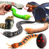 Rc Snake Robots Toys Kids Boys Children Girl