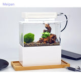 Portable Mini Betta Fish Tank Aquarium Desktop Decorations