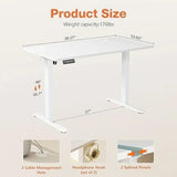 Electric Standing Desk - 40 x 24 inch