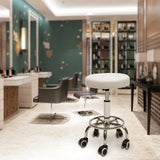 Hydraulic Stool with Adjustable Height for Salon Bars