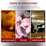 Heat Lamp Livestock Cage Heating Supply Pet Warming