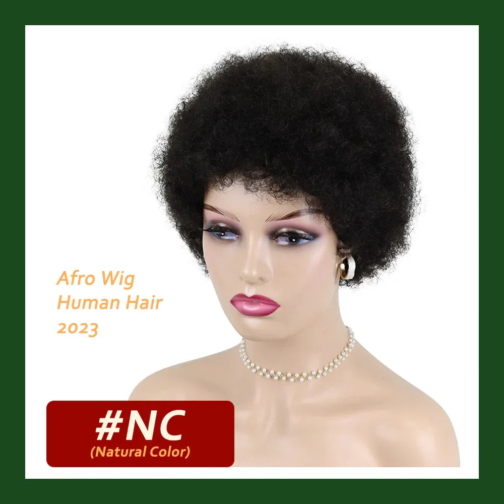 Kinky Curly Wigs Short Wigs for Black Women