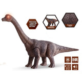 RC Dinosaur Kids Toy Remote Control Dinosaur Light