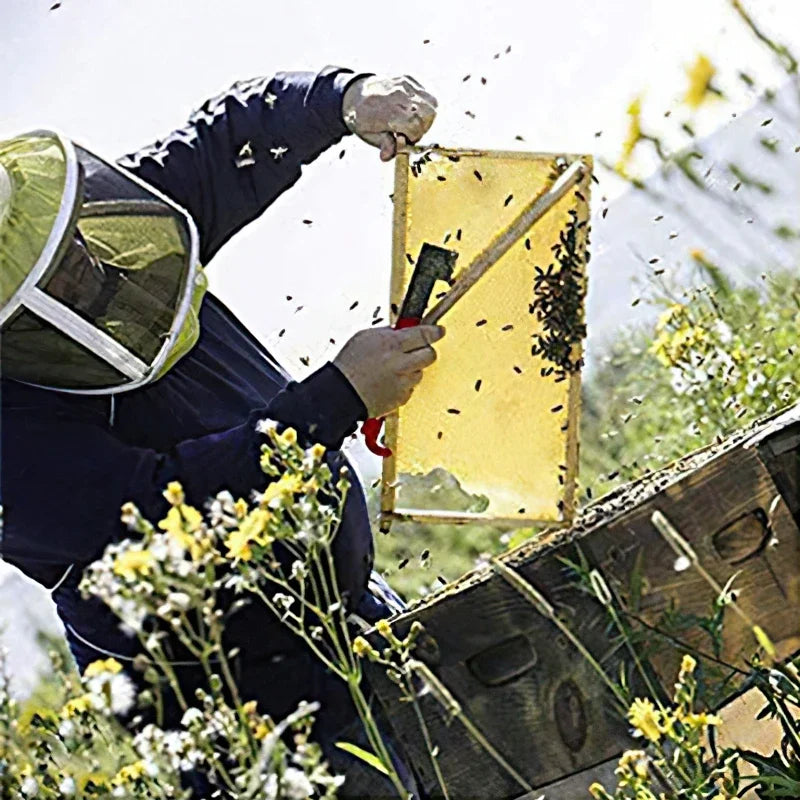 Apiculture J Shape Hook Stainless Steel Bee Hive