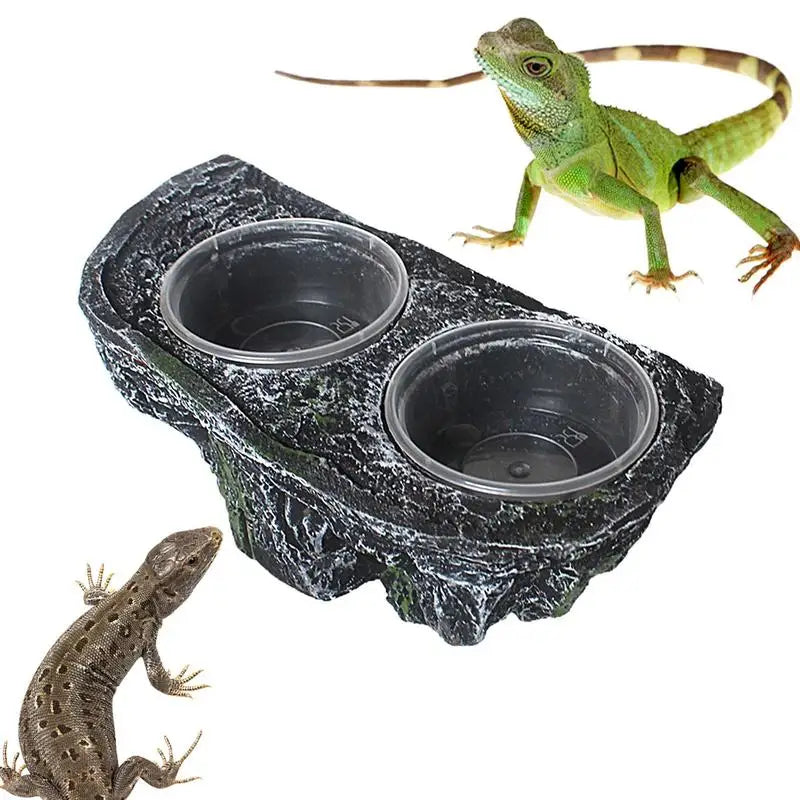 Reptile Food And Water Feeder Reptile Food Dish